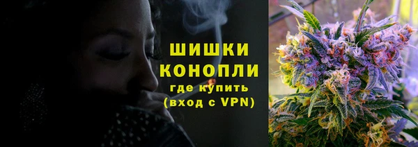сатива Абинск