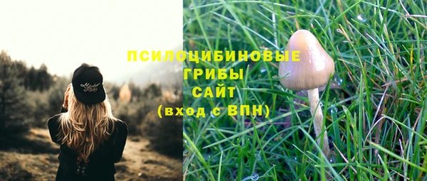 сатива Абинск