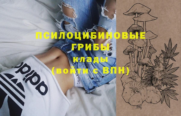 бошки Абаза