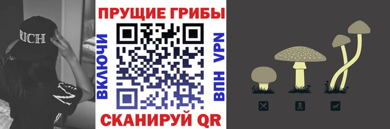 Псилоцибиновые грибы прущие грибы закладки Весьегонск