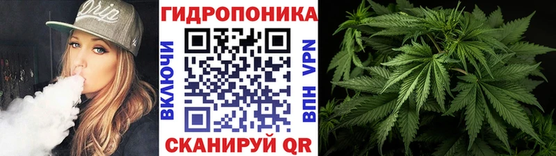 Каннабис семена  дарнет шоп  Весьегонск 